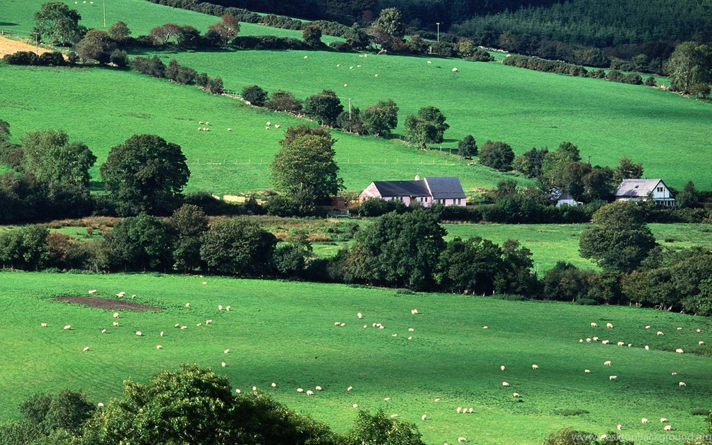 Pasture Ireland Countryside Wallpapers