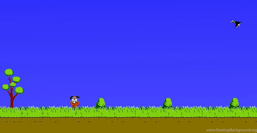 Duck Hunt