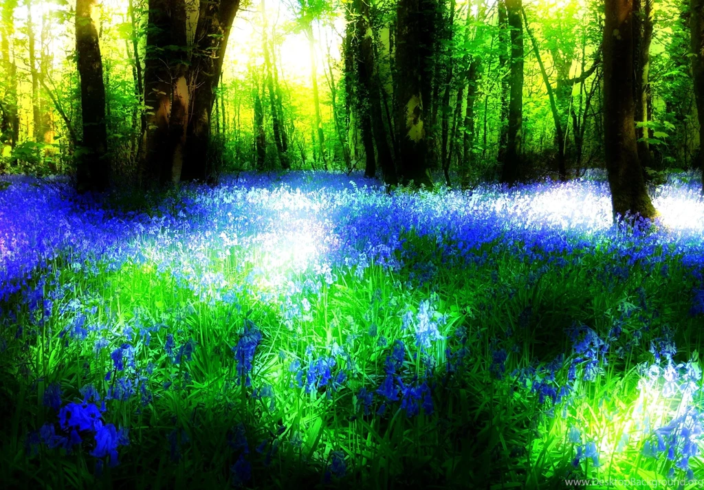 BLUEBELL FANTASY WALLPAPER (