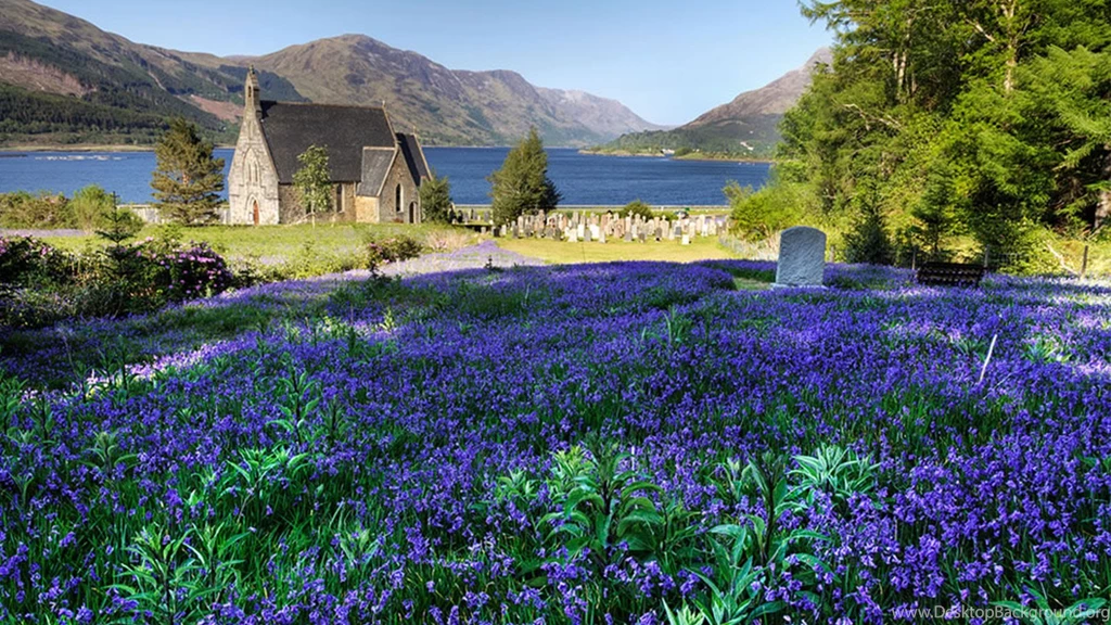 The Blue Bells Of Scotland' Performed On The Guitar By Ulrich ...