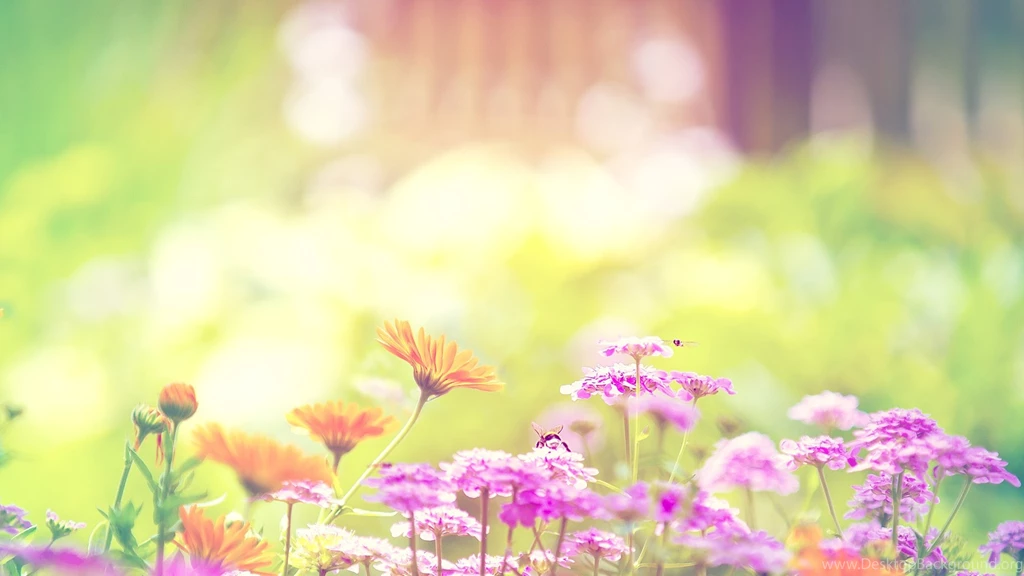 Cute Wallpaper: Cute Tumblr Widescreen Wallpapers Wallpapers HD ...