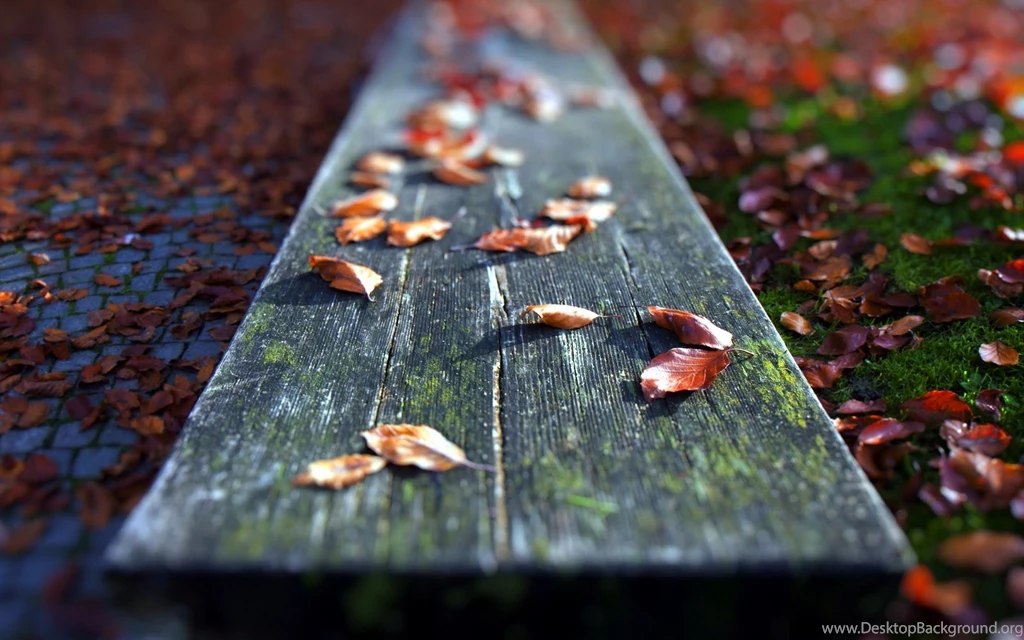 Awesome Desktop Backgrounds HD Wallpapers