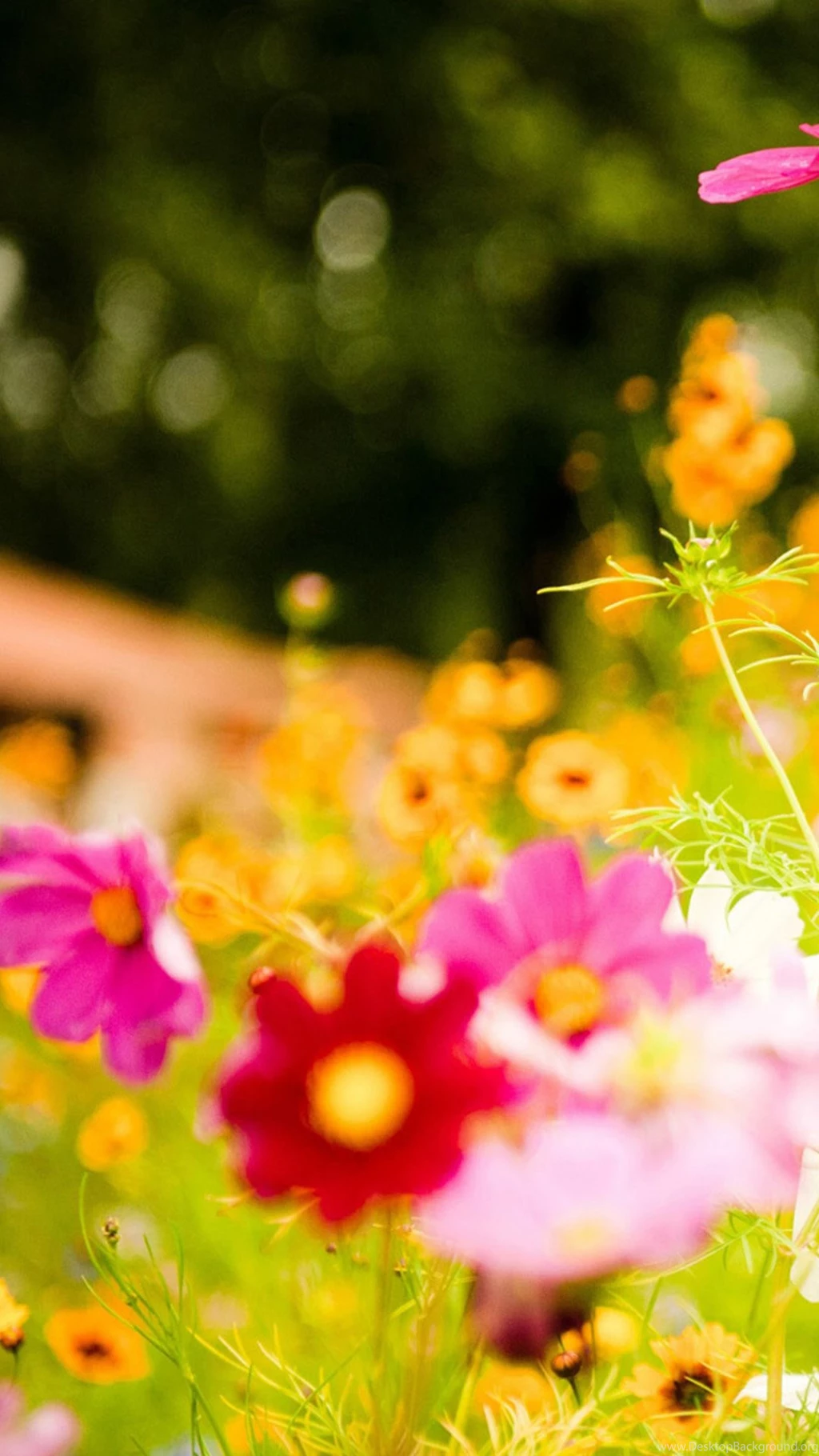 Galaxy S4 Wallpapers HD, Samsung Galaxy S4 Wallpapers, Galaxy ...