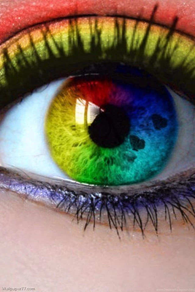 LGBT, 640x960 Pixels : Wallpapers Tagged LGBT.