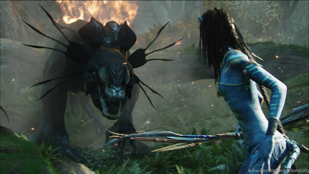 Avatar Images