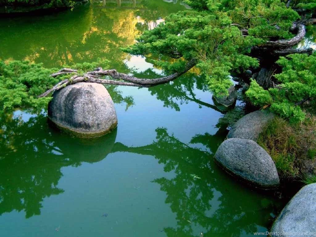 Nature Images Free Download