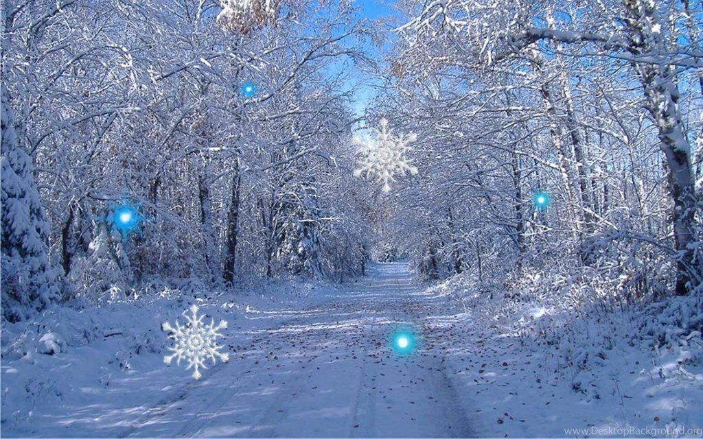 Winter Forest Live Wallpapers Android Apps On Google Play