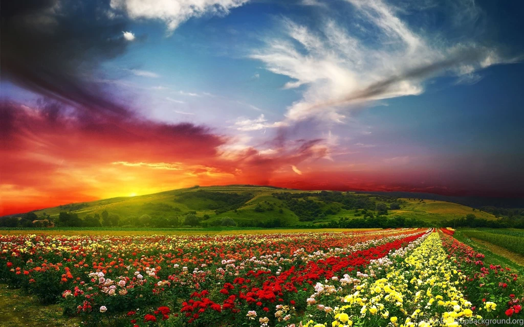 Nature Wallpapers Hd Free Download