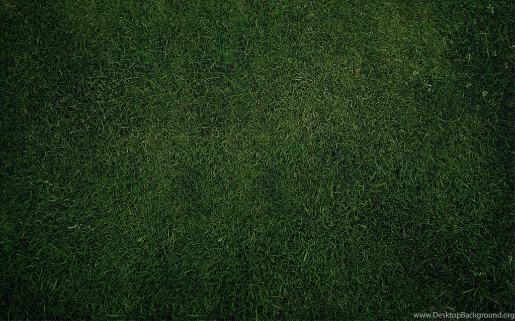 1280x800 Green Grass Backgrounds Desktop PC And Mac Wallpapers