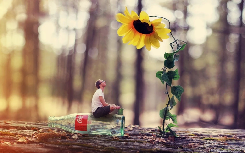 Wallpapers HD Widescreen High Quality Desktop 3D Awesome 4560s ...