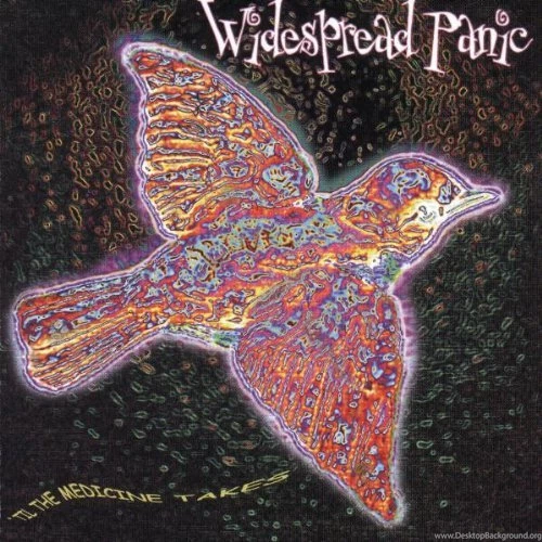 Widespread Panic Til The Medicine Takes Album Cover, Widespread ...
