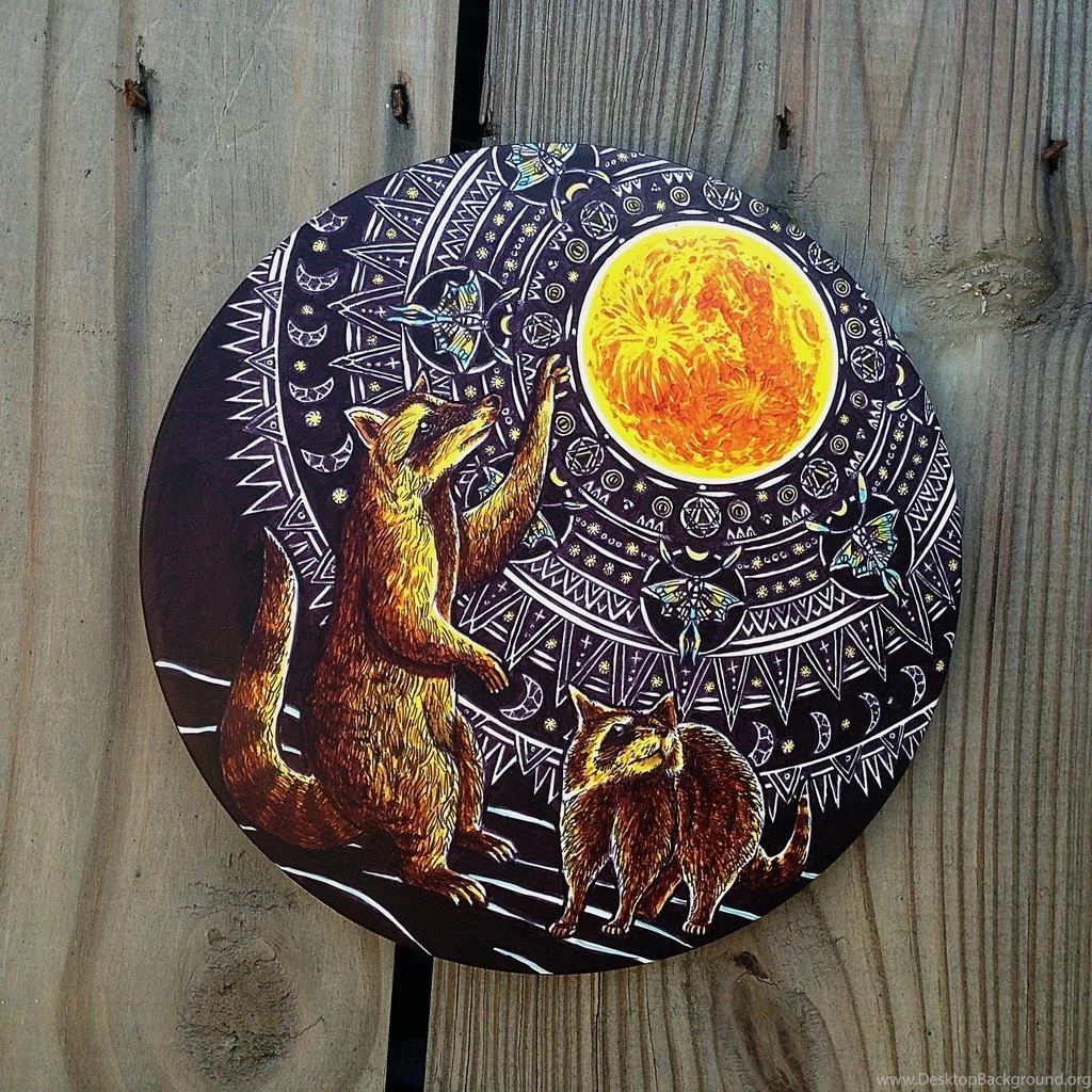 Widespread Panic Disc By Fuzzheadsmurf On DeviantArt