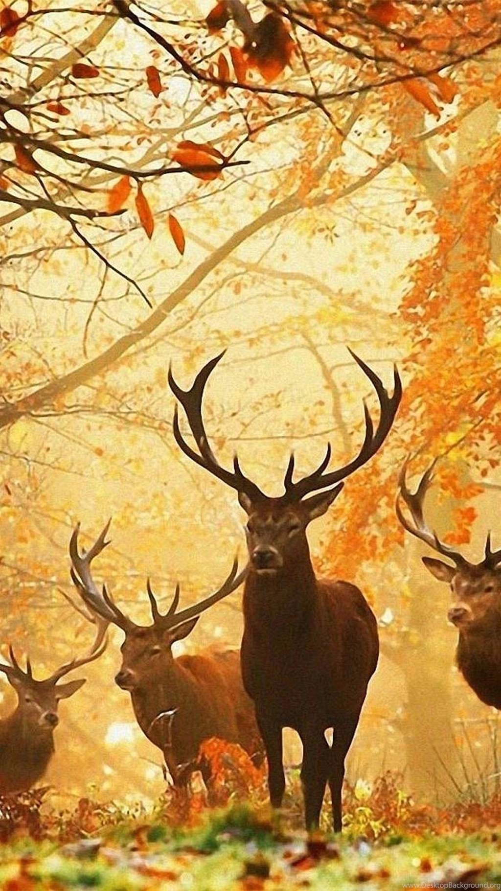 Wallpapers Galaxy Note 3 Full Hd 1080 1920 306 1080 X 1920 ...