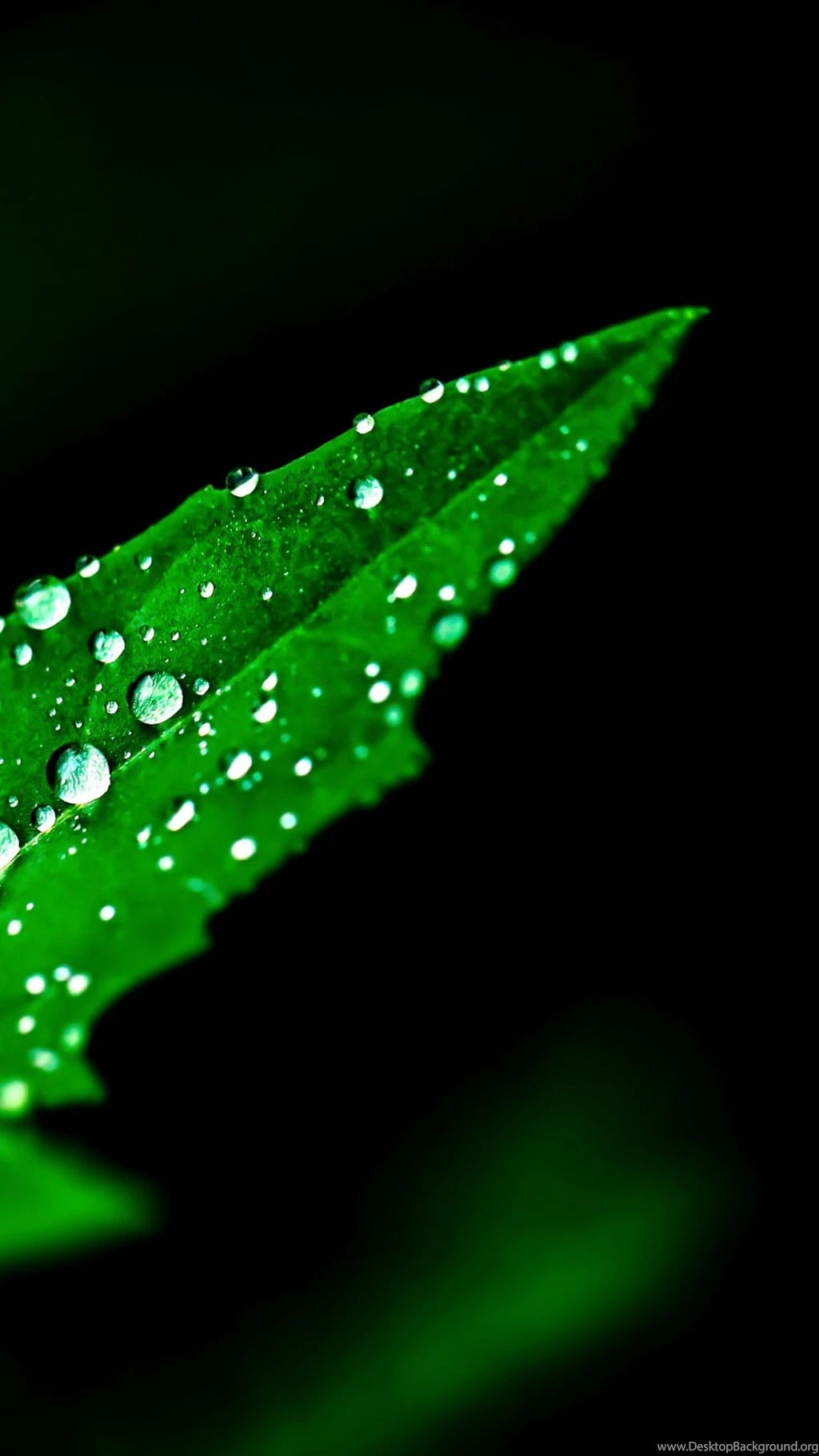 All The Little DetailsSamsung Wallpapers Download