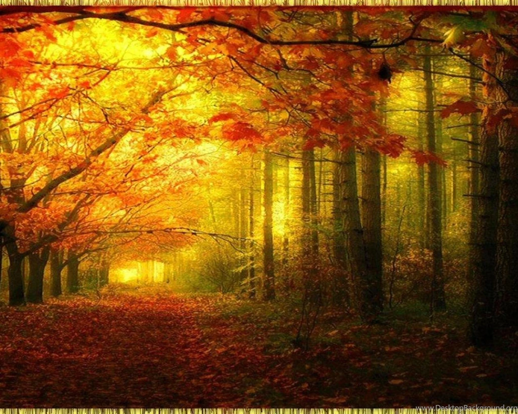 Going Home For Thanksgiving Wallpapers   (