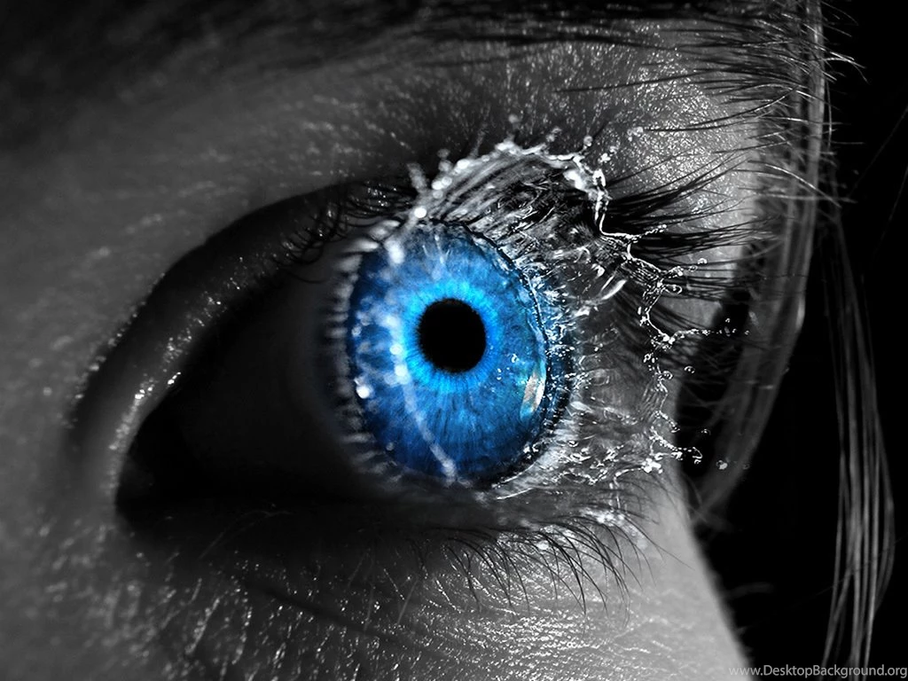 Blue Eye Eyes Wallpapers 8326072 Fanpop PetPictures