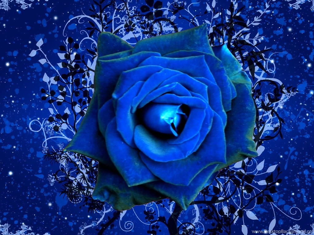 Blue Rose Wallpapers