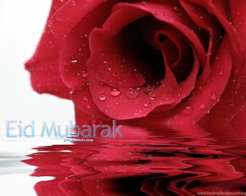 Eid Rose Wallpapers Free Download