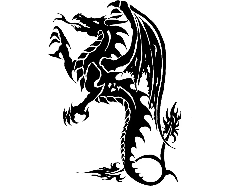 Dragon Tattoo Wallpapers Photos Backgrounds