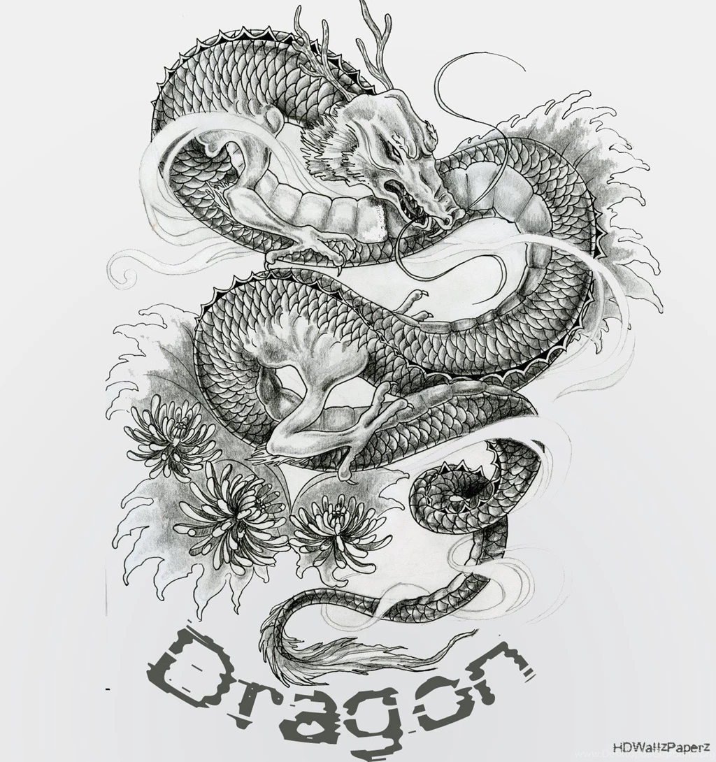 Dragon Art Tattoo Black Wallpaper Images HD Fr
