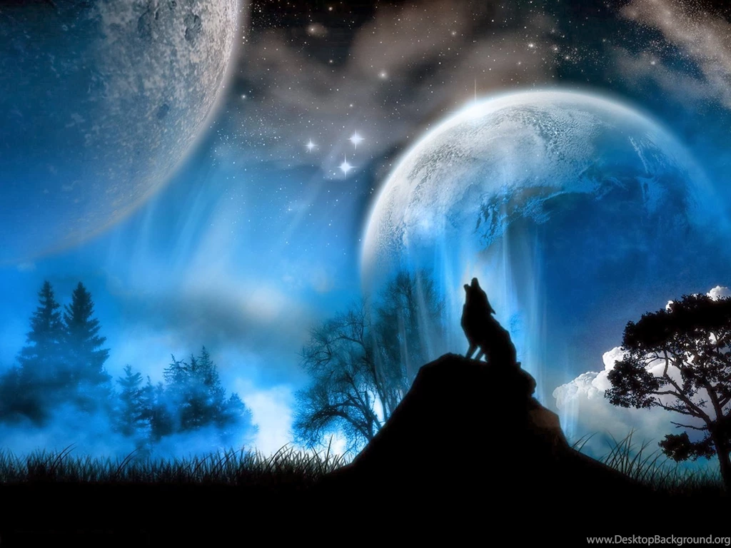 Desktop Black Wolf Wallpapers Dowload