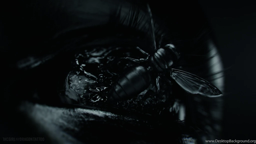 Popular Movie Girl With A Dragon Tattoo Wallpapers And Images ...