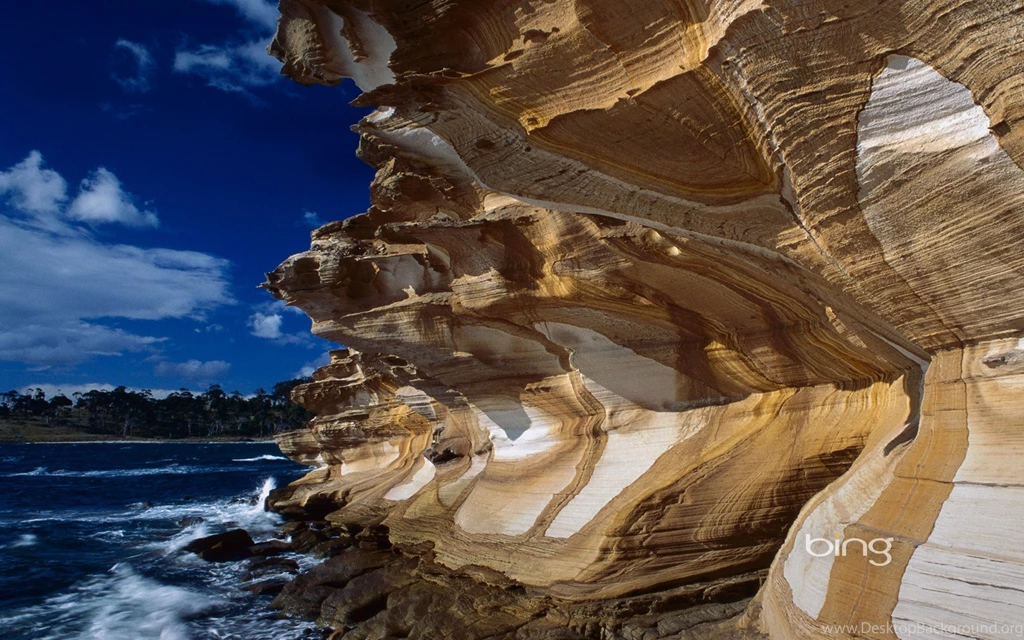 Best Of Bing Australia Australian Landmarks & Animals Wallpapers ...