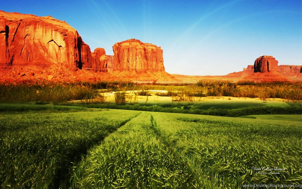High Definition Nature Cool Wallpaper Backgrounds For Phone ...