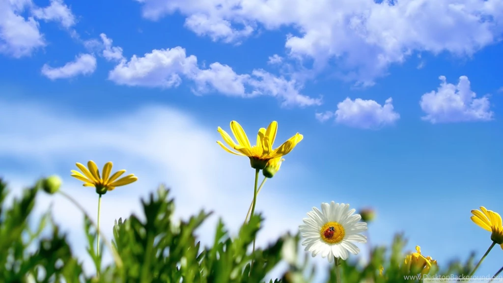 Spring Backgrounds HD Desktop Wallpapers : High Definition ...