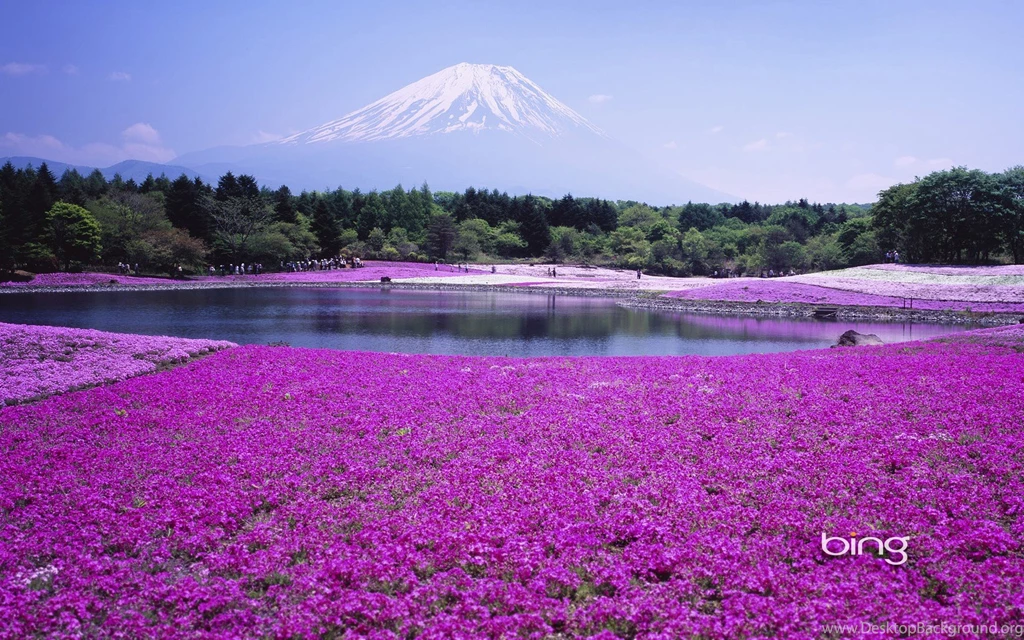 Bing Wallpapers