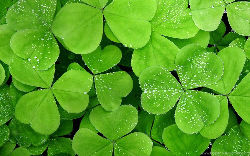 Hd Wallpapers For Windows 8 Wallpapers » WallDevil   Best Free HD ...