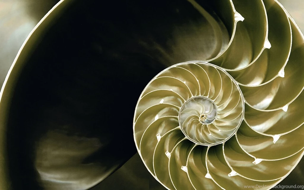 Official Windows 8 RTM Shell Wallpapers Wallpapers X