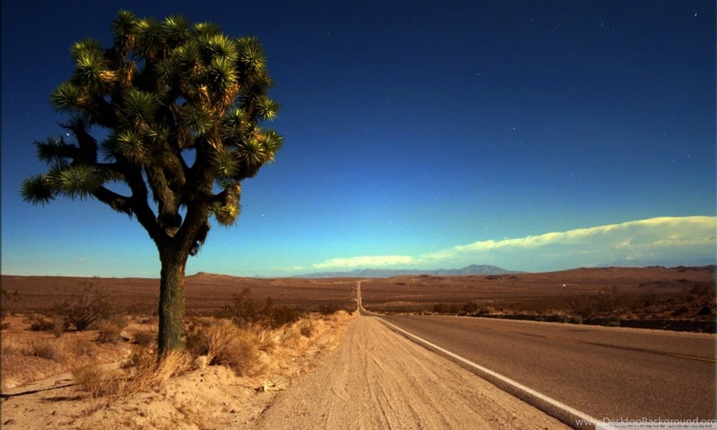Joshua Tree Highway HD Desktop Wallpapers : High Definition ...