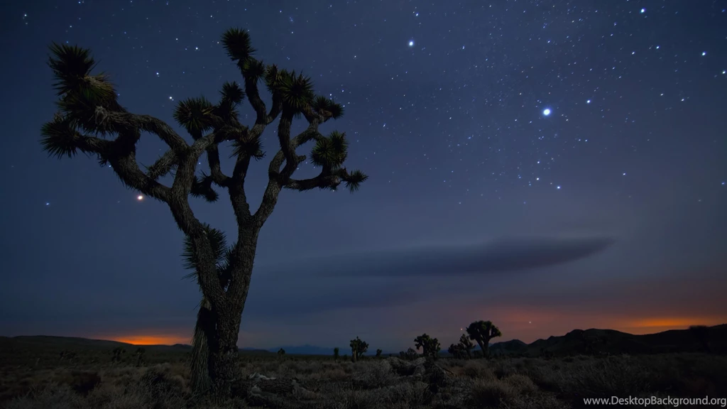 Joshua Tree National Park California Desert Wallpapers