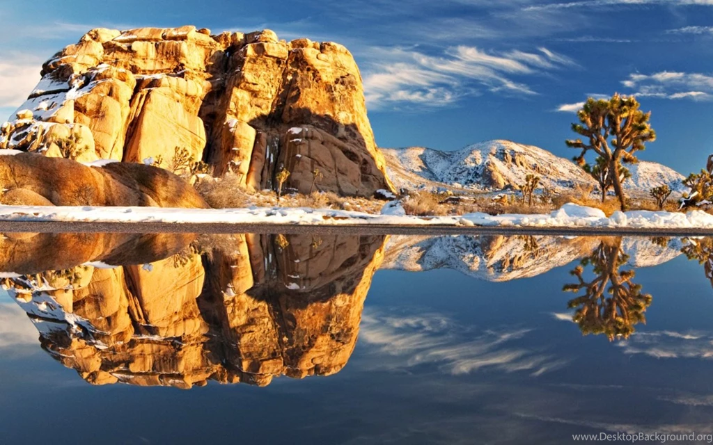 1400x720px 232.95 KB Joshua Tree National Park