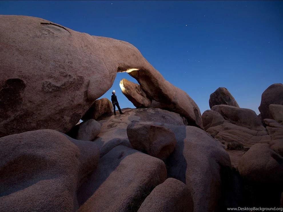 Joshua Tree Camping Summer Wallpaper.