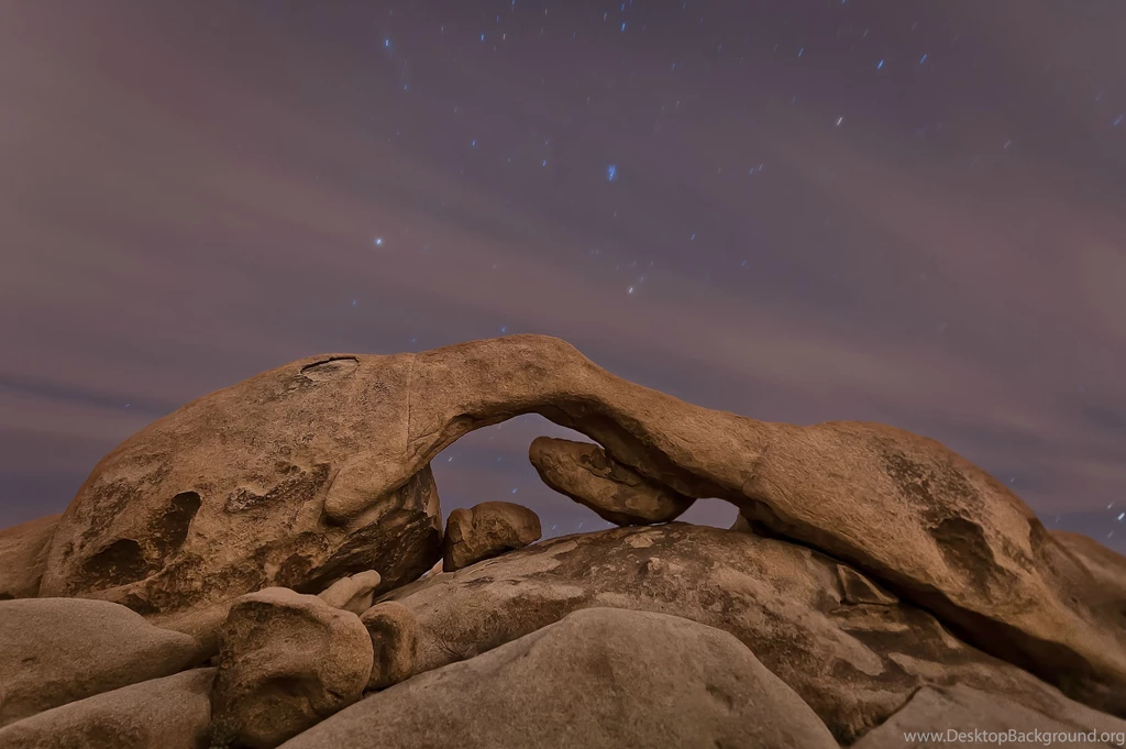 Joshua Tree National Park Night Wallpaper.