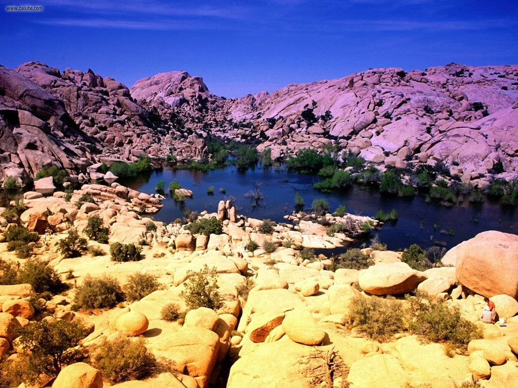 Nature: Vivid Vista Joshua Tree National Park California, Picture ...
