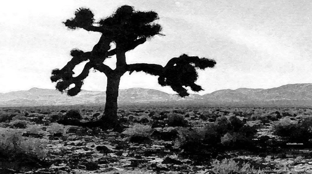 U2 the joshua tree wallpaper 128 9.jpg Photo By S0ynegr0