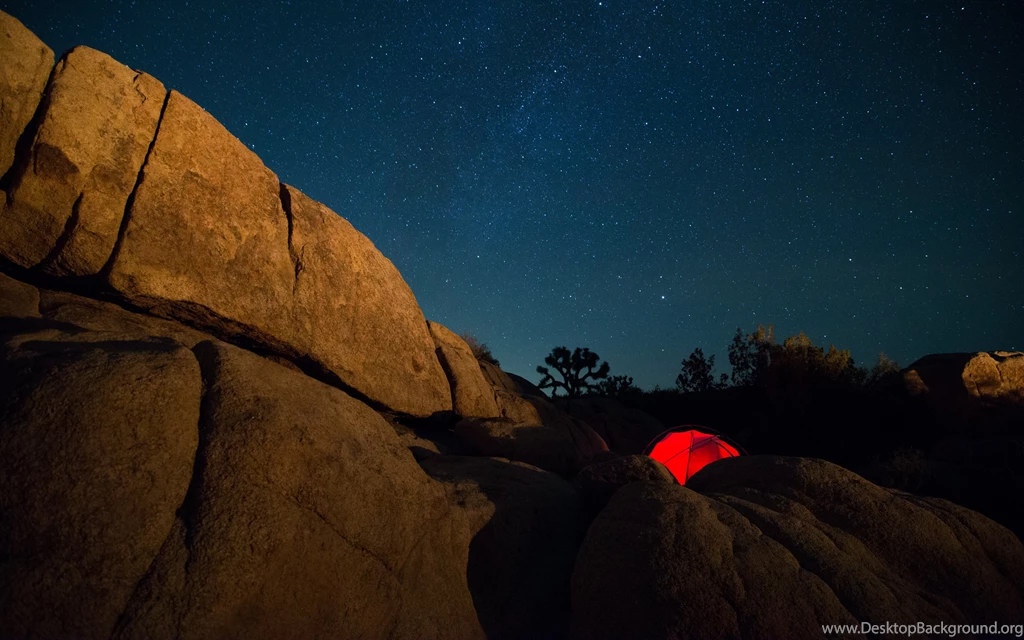 National Park Joshua Tree, United States Wallpapers And Images ...
