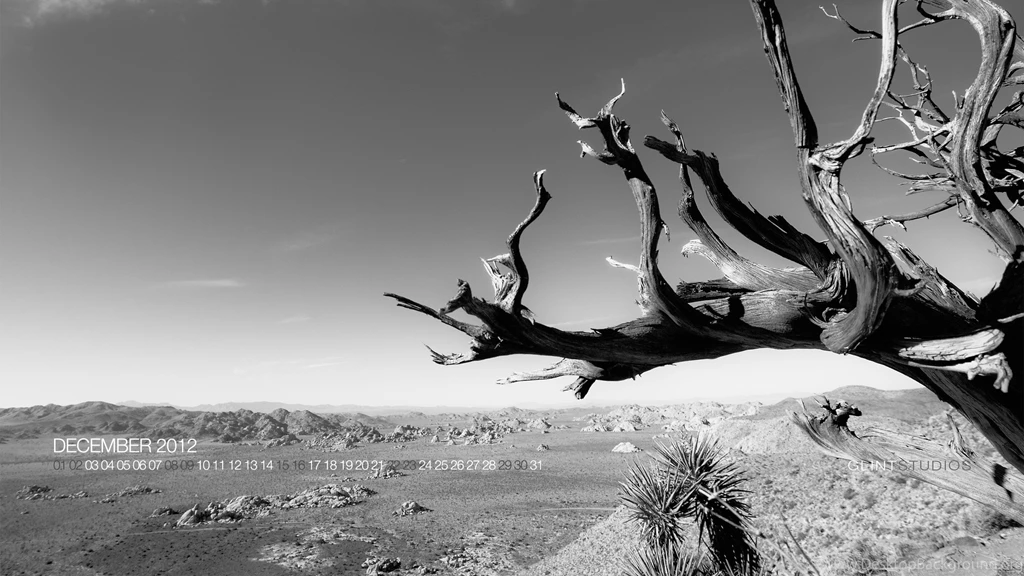 December 2012 Wedding Photographer