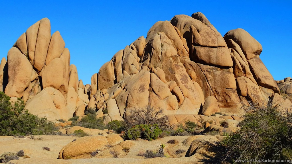Joshua National Park