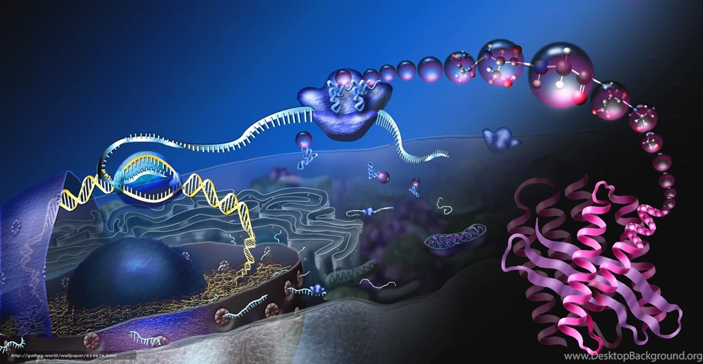 614676_molekula_dnk_nauka_biologiya_jizn_himiya_atomyi_ev_3783x1958_www.Gde Fon.com.jpg