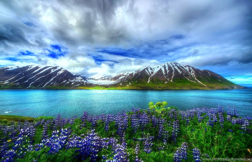 Lakes: Mountain Lake Flowers Sky Nature Beautiful Reflection ...