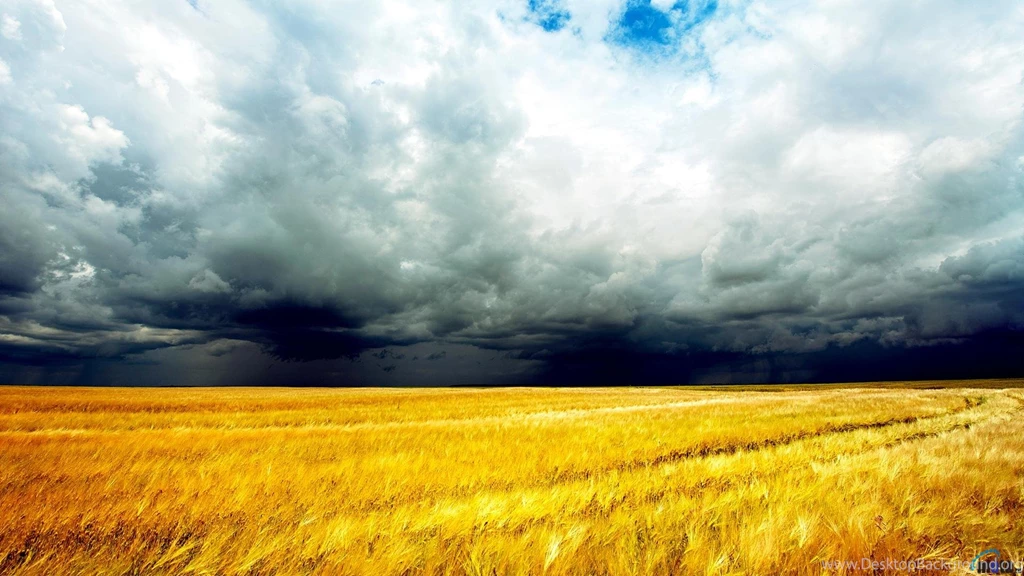 Download Wallpapers Rain Clouds Over A Field Of Wheat (1920 X 1080 ...