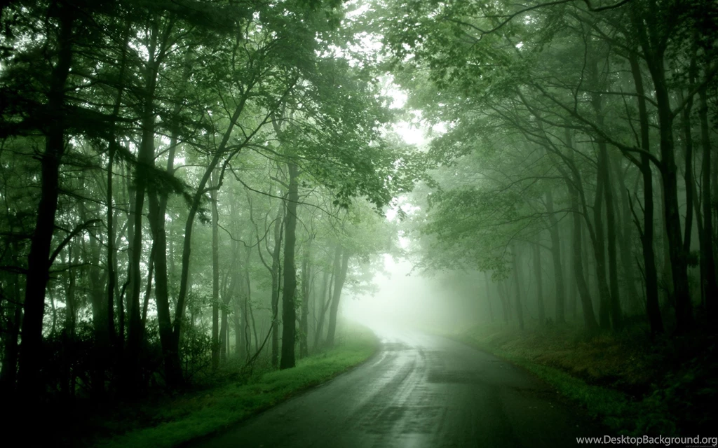 Backgrounds Trees   Wallpapers Zone