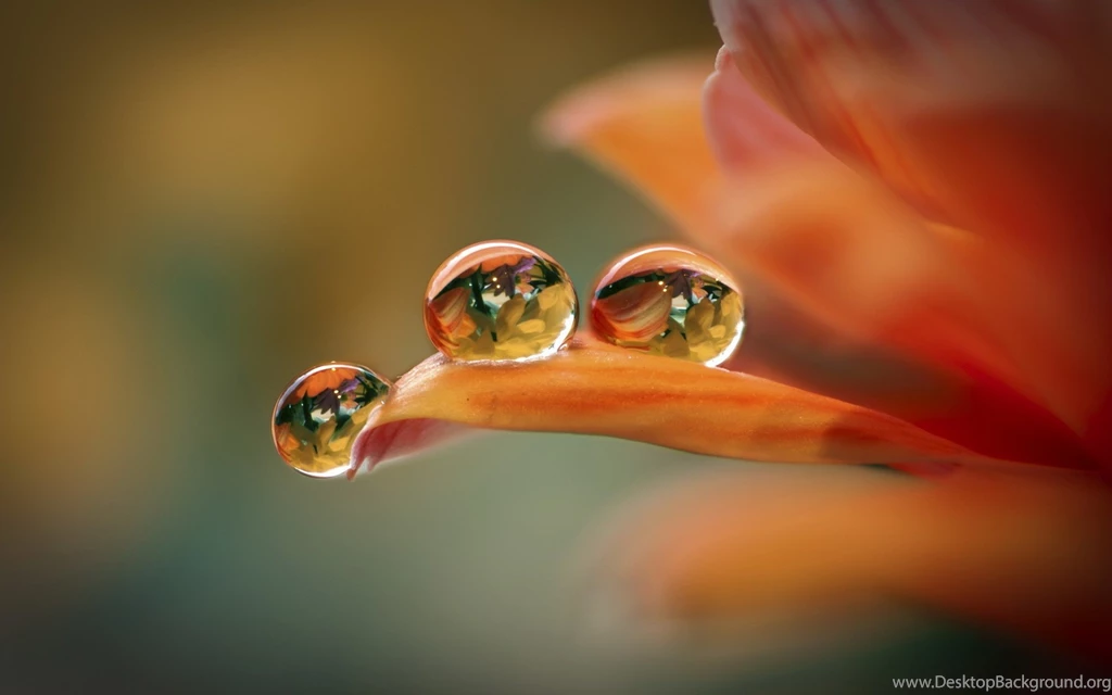 Water Drop Wallpapers Desktop Wallpapers Zone