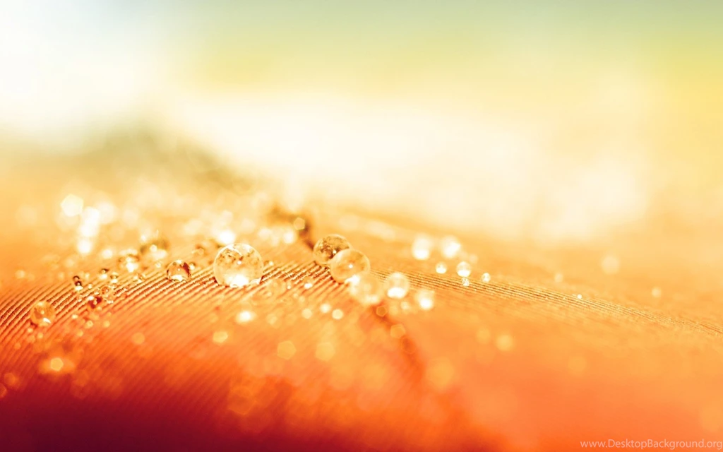 Download Wallpapers 3840x2400 Droplet, Surface, Light Ultra HD 4K ...