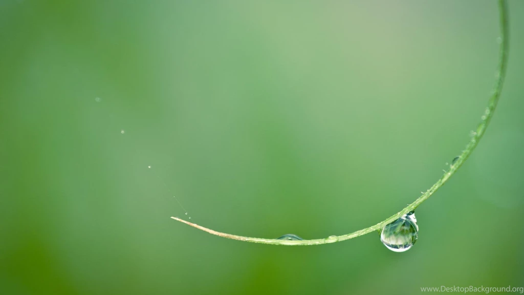 Nature Macro Droplet Wallpapers