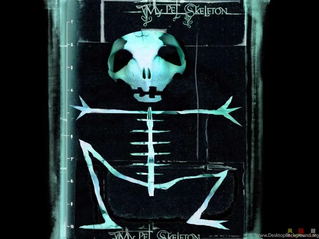 Free Scary Wallpapers Wallpapers Cave